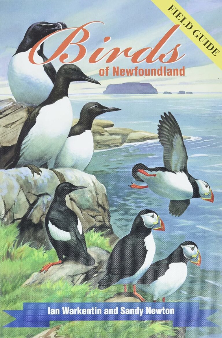 Birds of Newfoundland: Field Guide