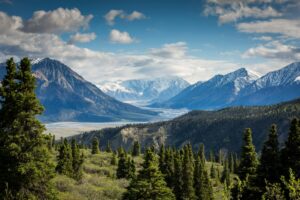 Kluane National Park and Reserve is a place of awe-inspiring beauty and diverse ecosystems.  Whether you're a seasoned mountaineer, a casual hiker, or simply a nature lover, Kluane National Park offers an unforgettable wilderness experience.