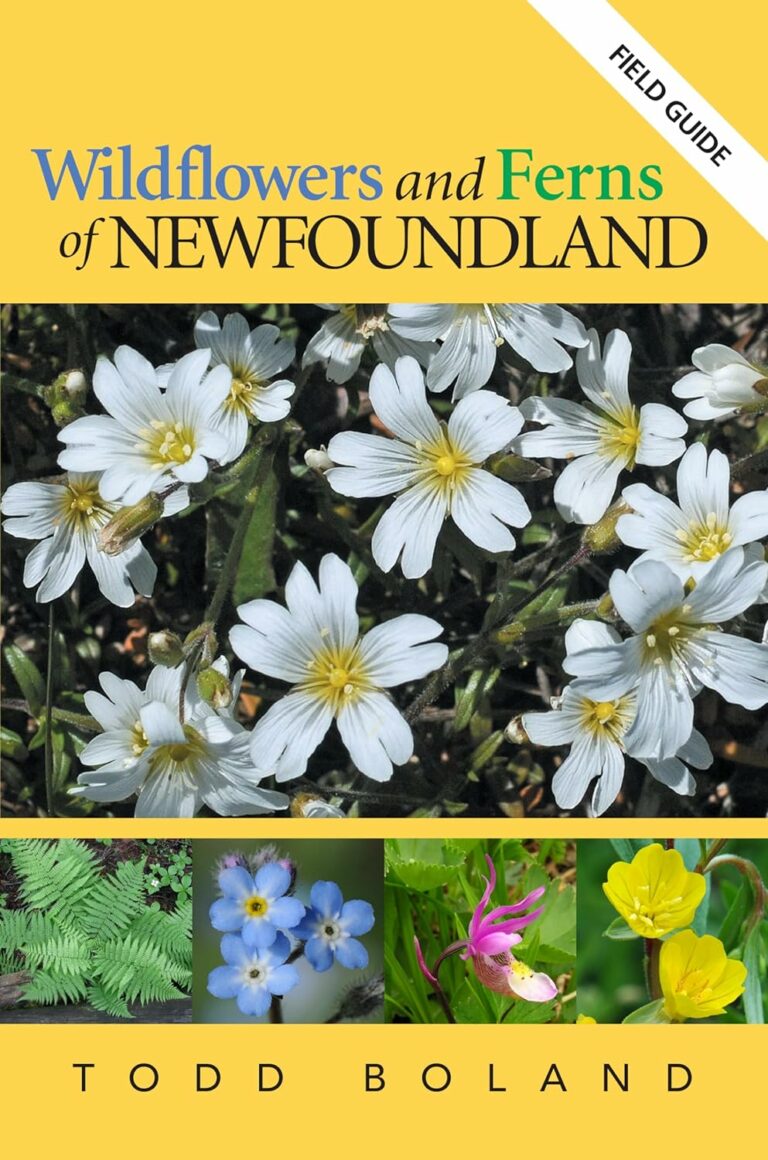 The Wildflowers of Newfoundland and Labrador handbook
