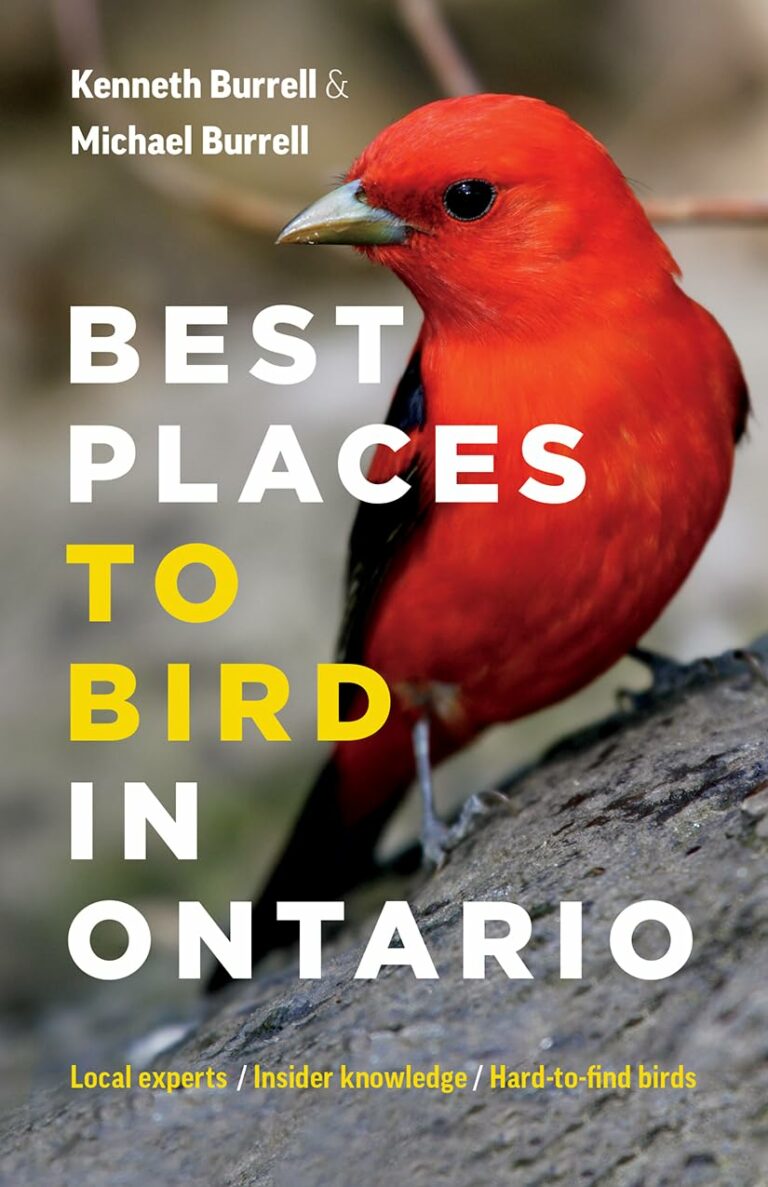 Ontario's rich natural landscape and diverse wildlife provides some of the most exceptional birdwatching Canada has to offer, attracting thousands of bird-lovers each year.