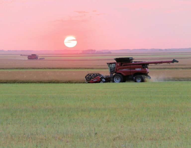 Combines harvesting grain on the Saskatchewan prairie