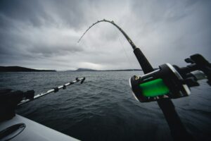 Fishing off the end of a boat. picture of two rod and reels.